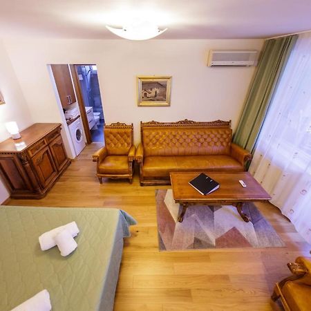 Apartament Family Rivulus 8 Baia Mare Exteriör bild