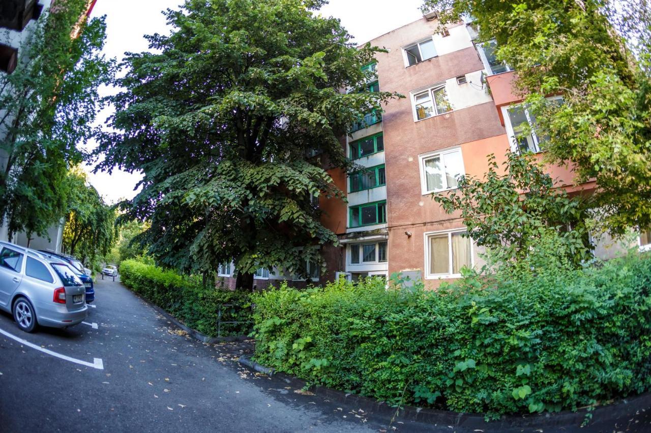 Apartament Family Rivulus 8 Baia Mare Exteriör bild